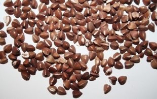 cómo perder peso con una dieta de trigo sarraceno